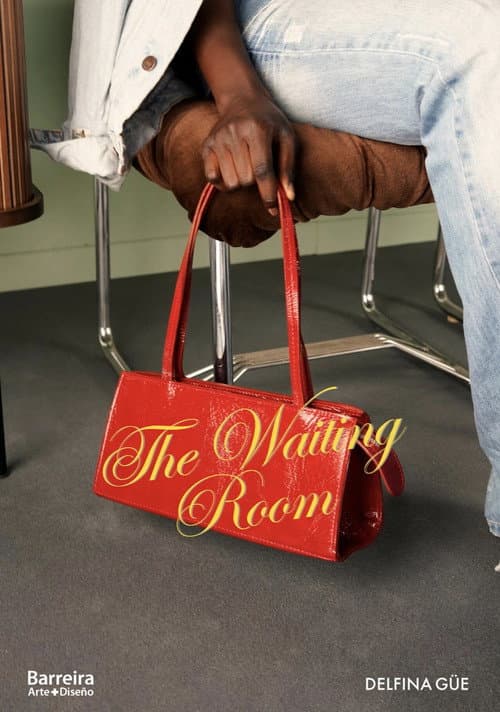 Poster for The Waiting Room