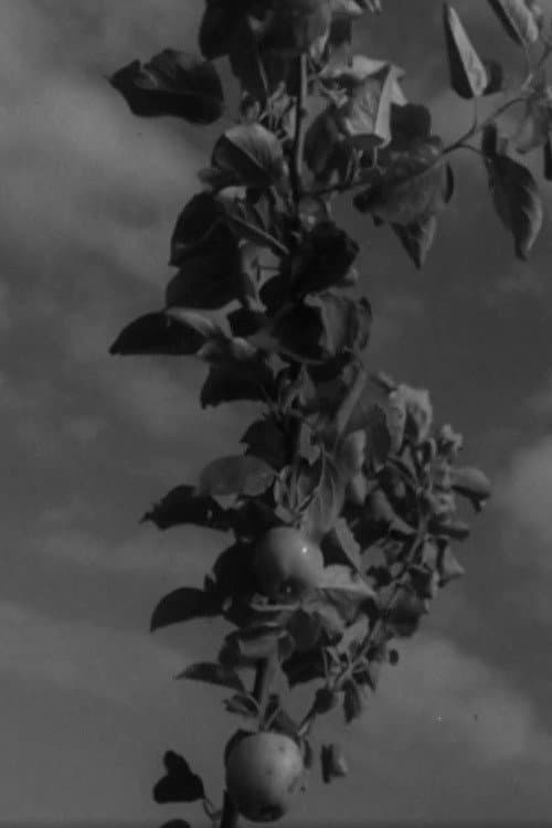 Poster for Ruhnu