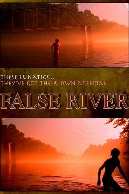 Poster for False River