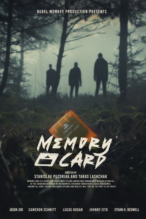 Poster for Memory Card