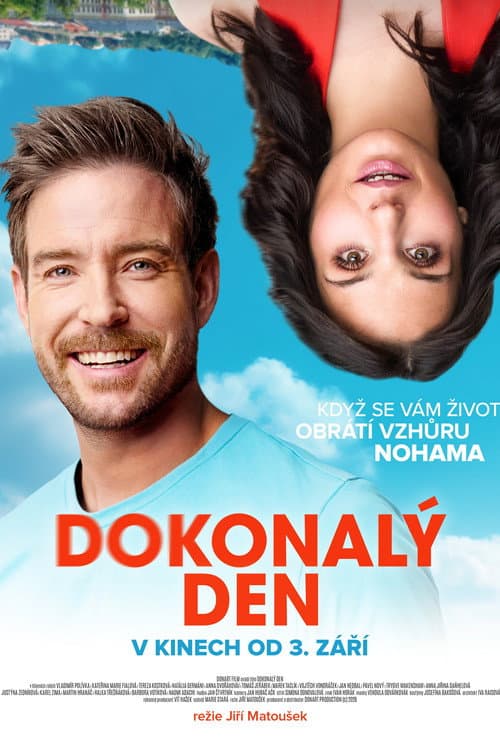 Poster for Dokonalý den