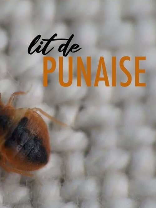 Poster for The Bedbug