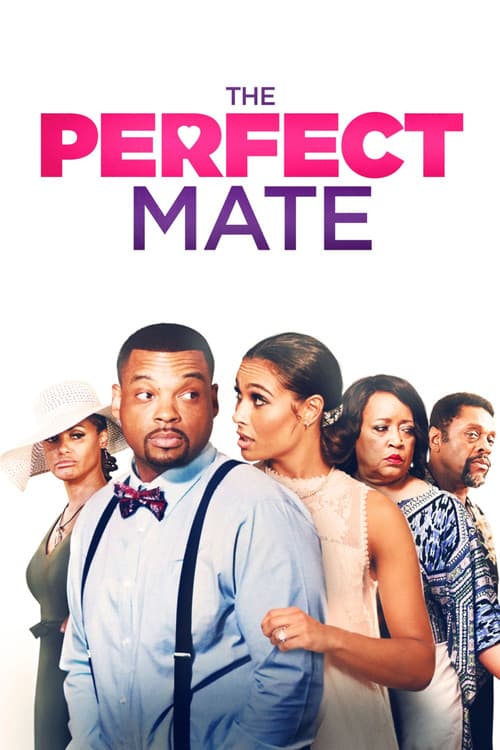 Poster for The Perfect Mate