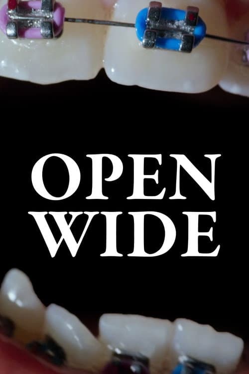 Poster for Open Wide