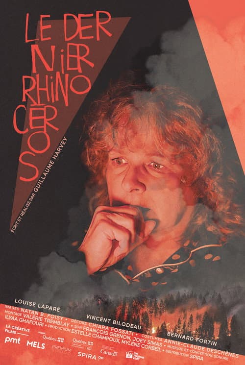 Poster for Le dernier rhinocéros