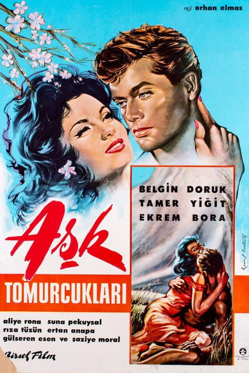 Poster for Aşk Tomurcukları