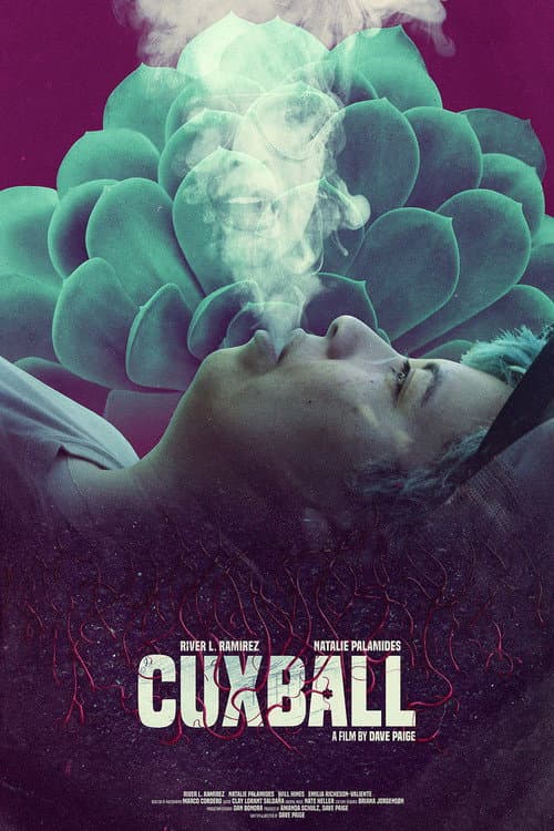 Poster for Cuxball