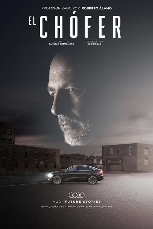 Poster for The Driver