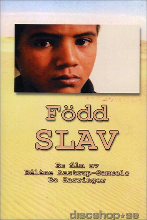 Poster for Born Slave