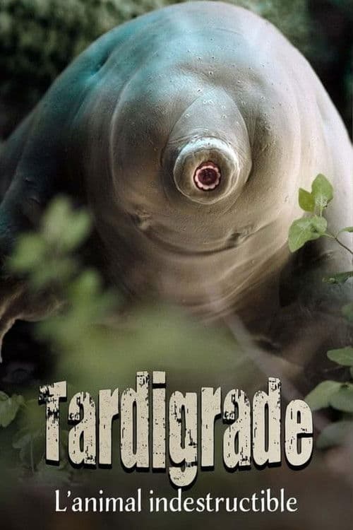 Poster for Tardigrade, l'animal indestructible