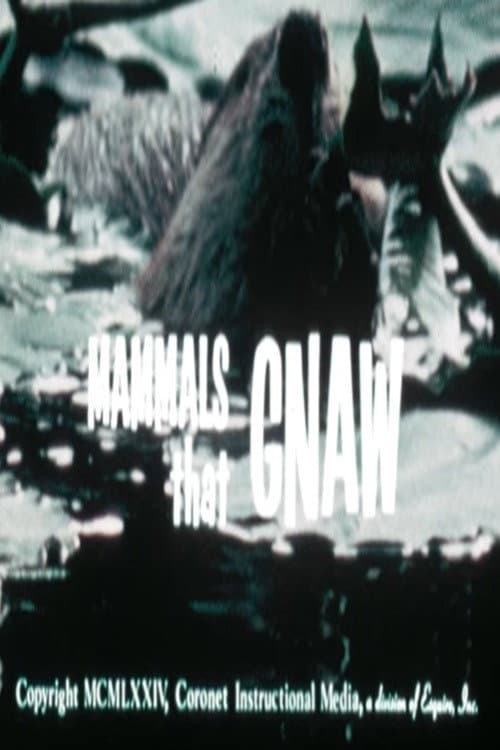 Poster for Mammals That Gnaw