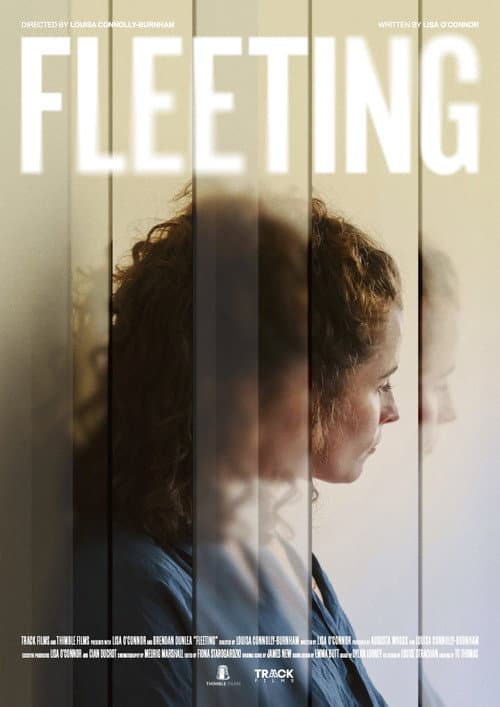 Poster for Fleeting
