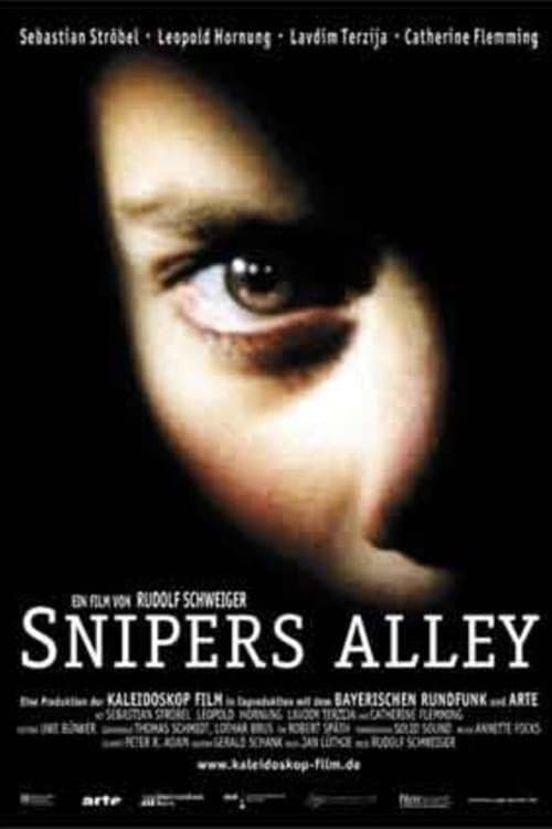 Poster for Snipers Alley