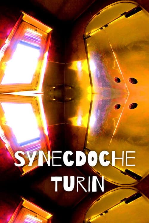 Poster for Synecdoche Turin