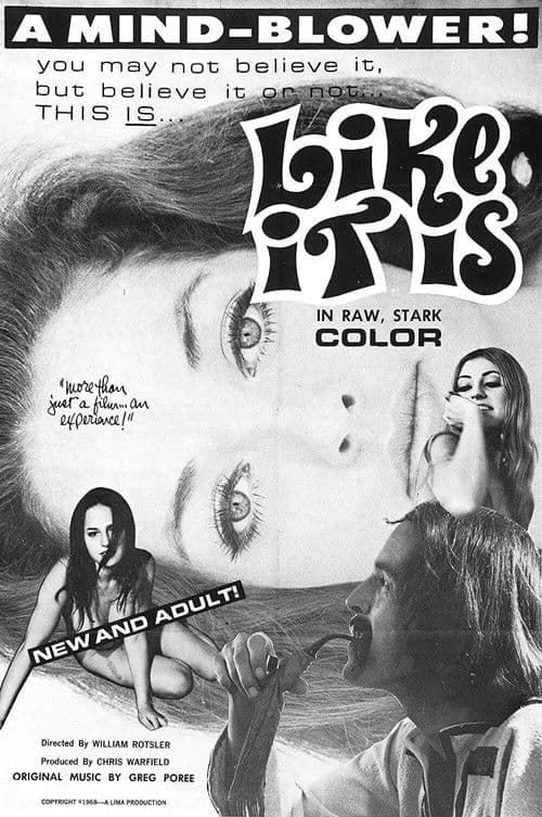 Poster for Like It Is
