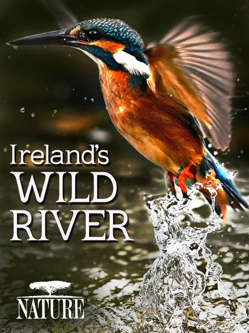 Poster for Ireland's Wild River