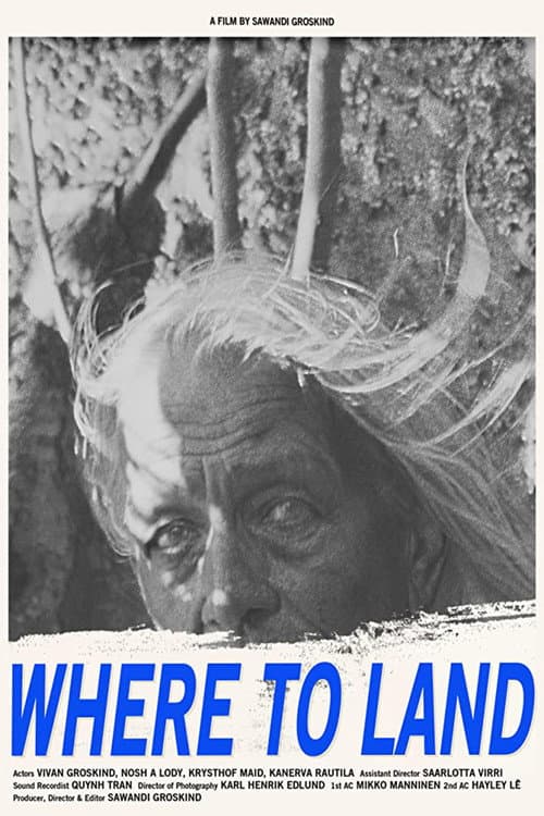 Poster for Where to Land