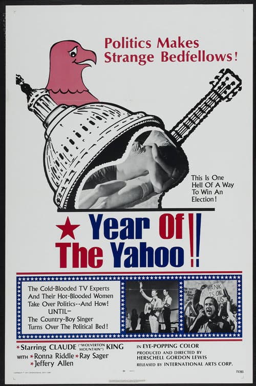 Poster for The Year of the Yahoo!