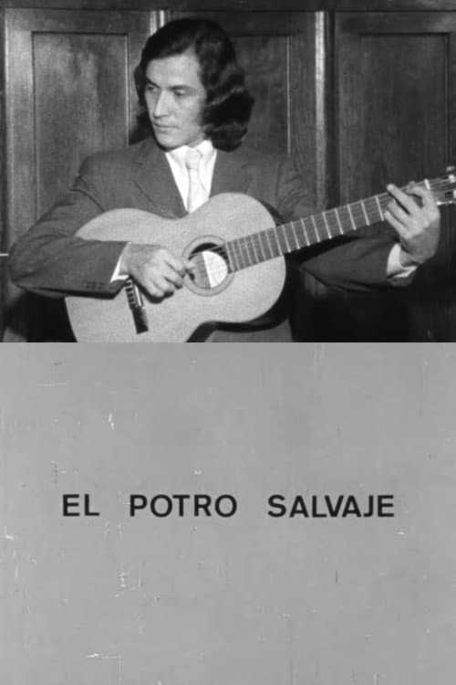 Poster for El potro salvaje