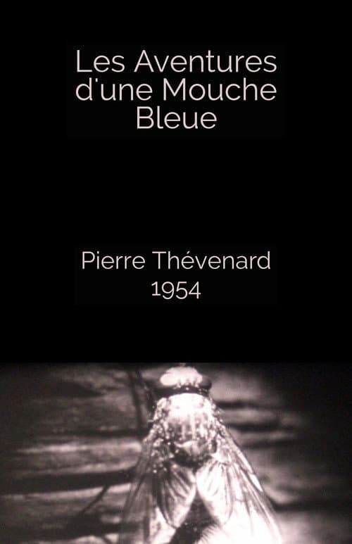 Poster for The Adventures of a Blue Fly