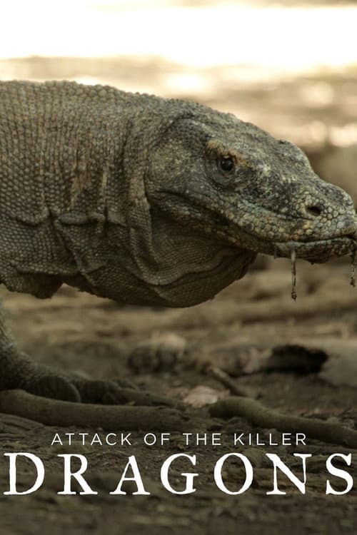 Poster for Attack of the Killer Dragons