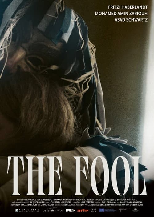 Poster for The Fool