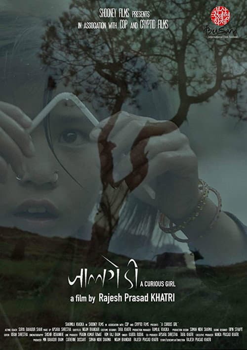 Poster for A Curious Girl