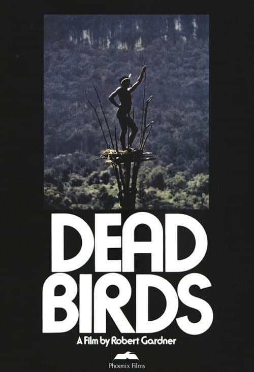 Poster for Dead Birds