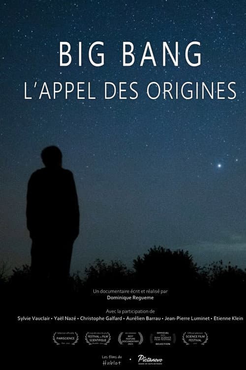 Poster for Big bang, l'appel des origines
