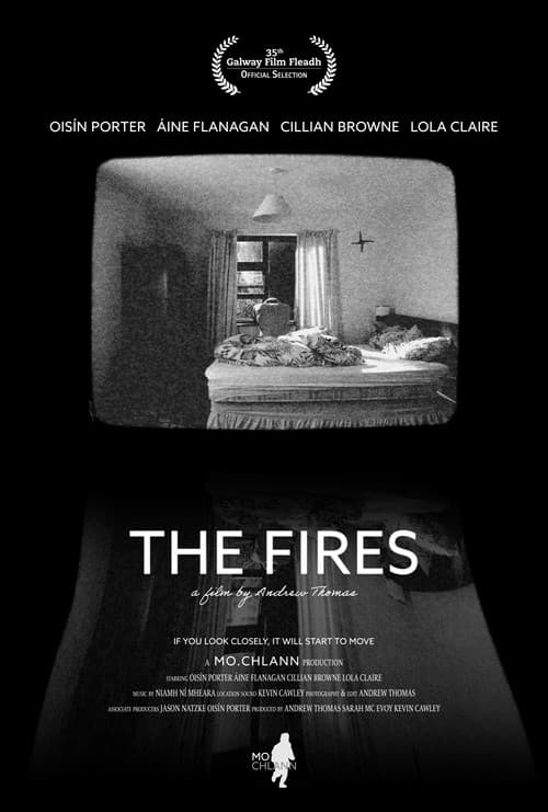 Poster for The Fires