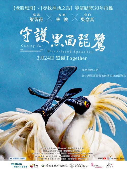 Poster for Caring for Black-Faced Spoonbill