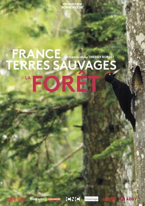Постер до фільму «France terres sauvages : La Forêt»