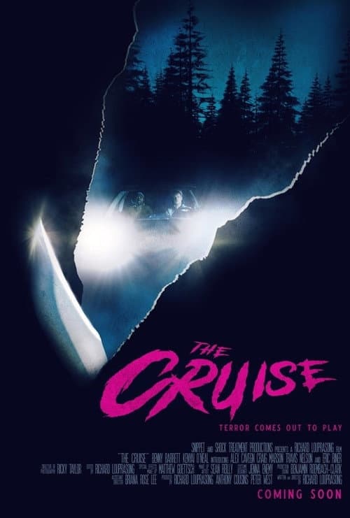 Poster for The Cruise