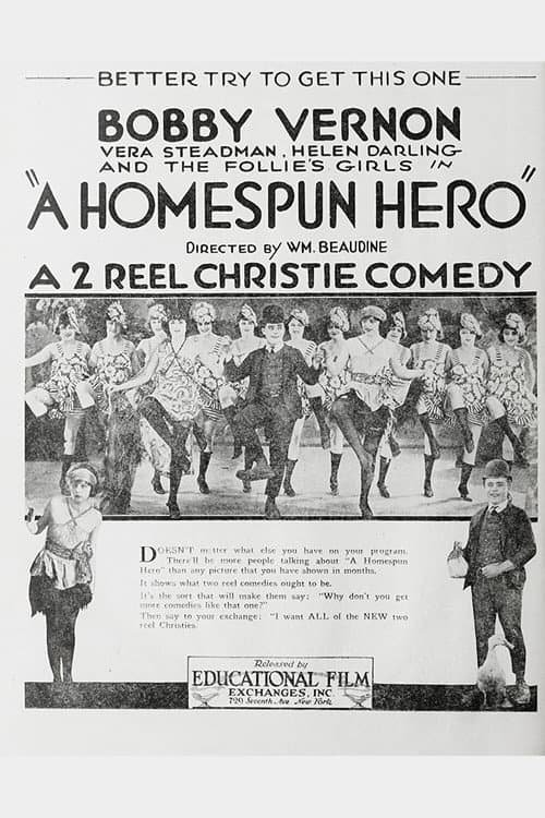 Poster for A Home Spun Hero