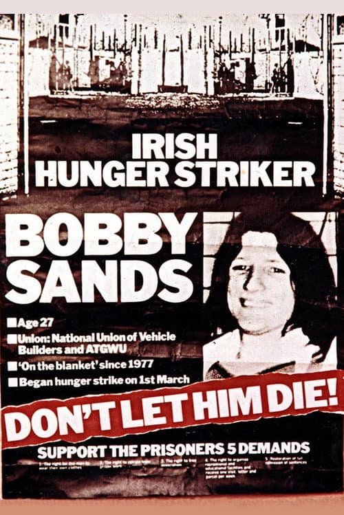 Poster for The Hunger Strike