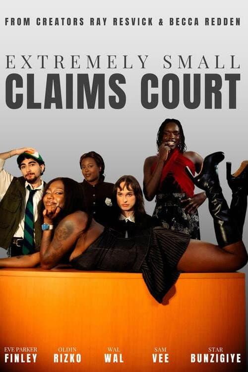 Poster for Extremely Small Claims Court