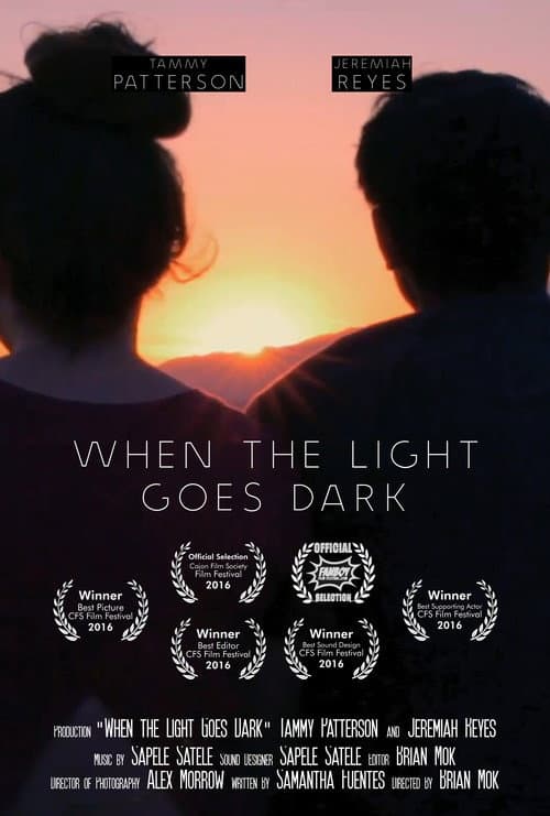 Poster for When the Light Goes Dark