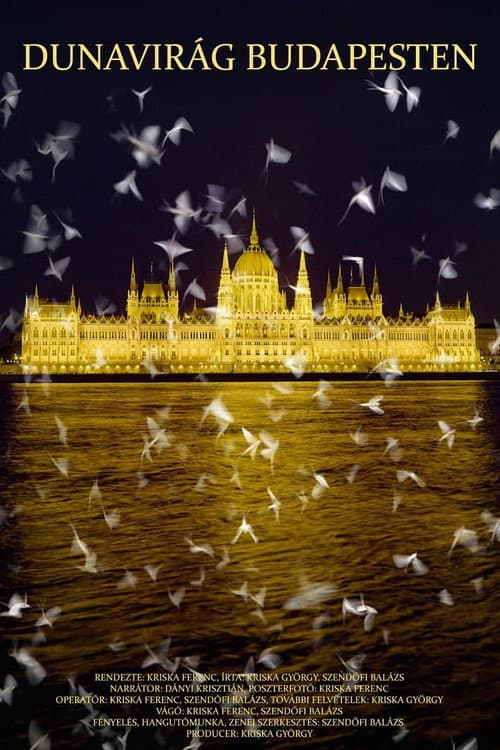 Poster for Dunavirág Budapesten