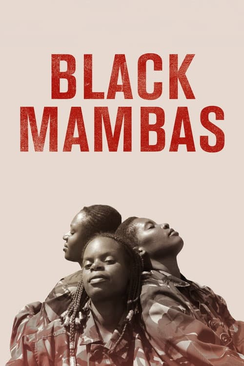Poster for Black Mambas