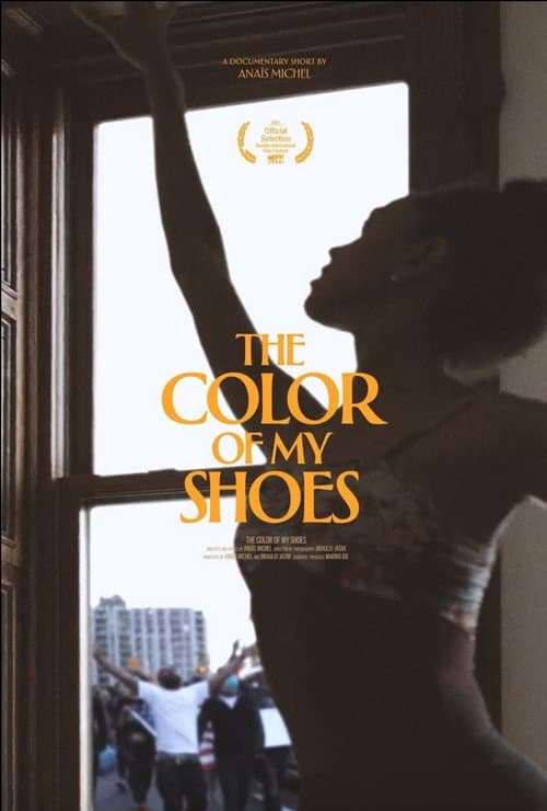 Poster for The Color of My Shoes