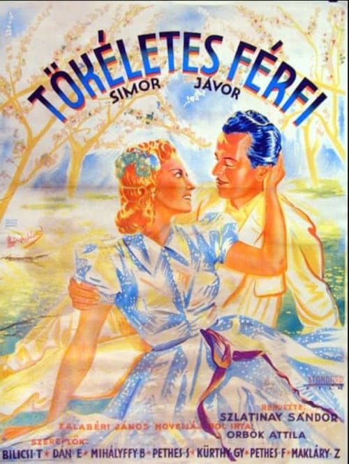 Poster for Tökéletes férfi
