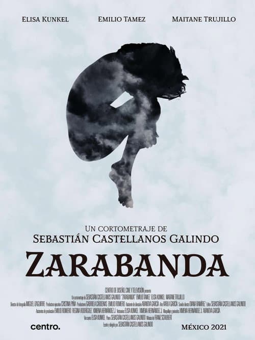 Постер до фільму «Zarabanda»
