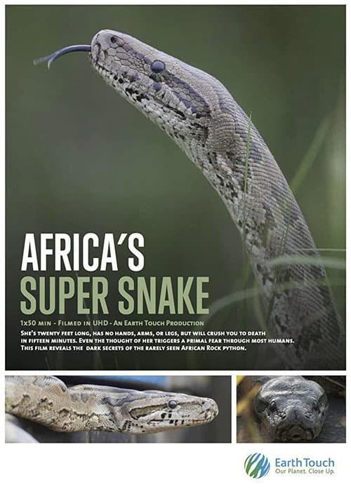 Poster for Africa's Super Snake