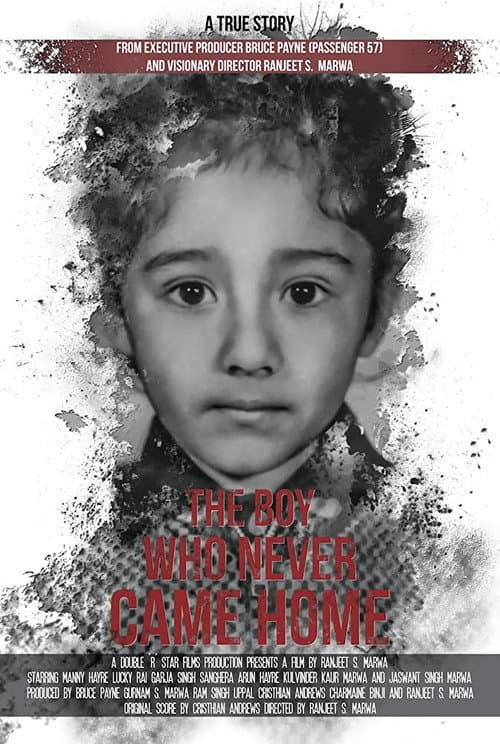 Poster for The Boy Who Never Came Home: A True Story