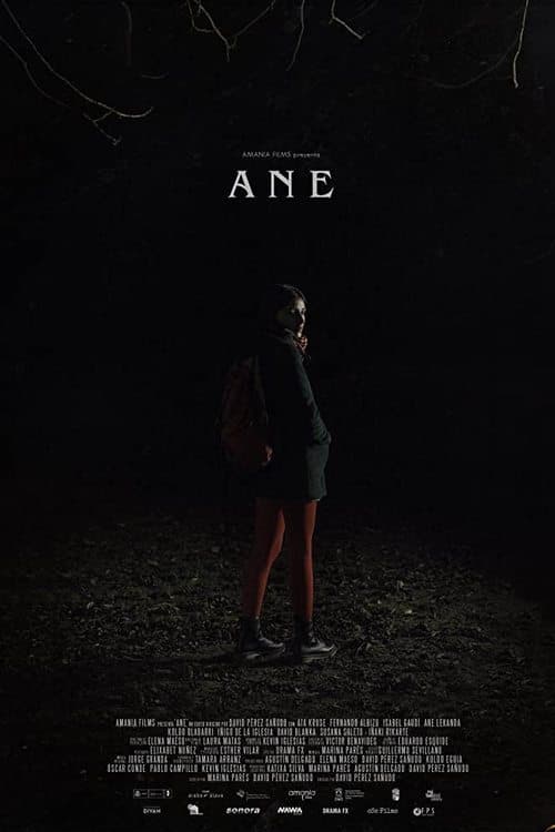 Poster for Ane
