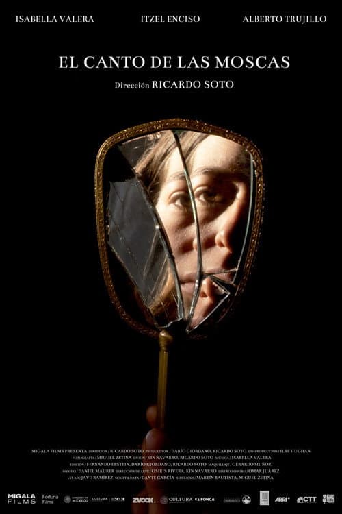 Poster for The singing of the flies
