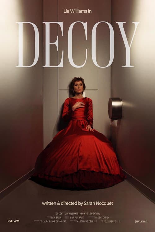 Poster for Decoy