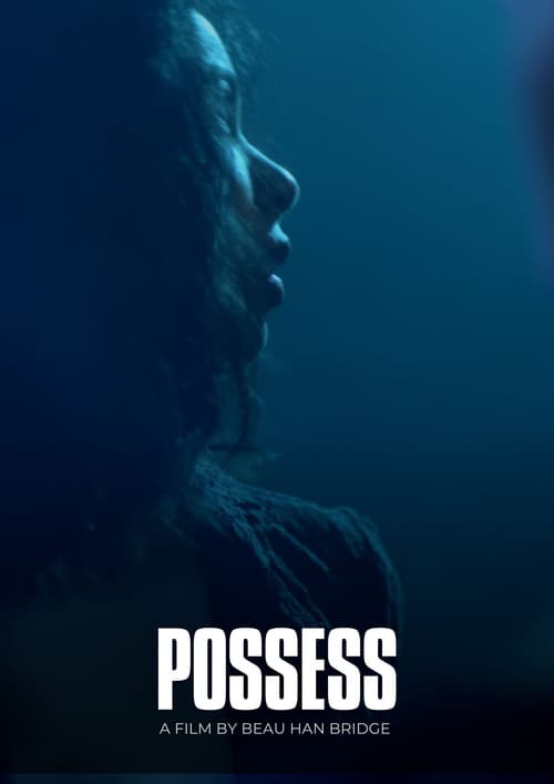 Poster for Possess