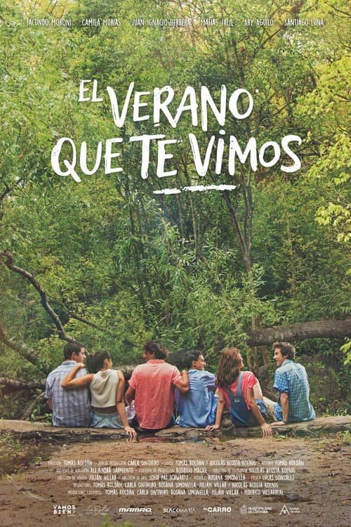 Poster for El verano que te vimos
