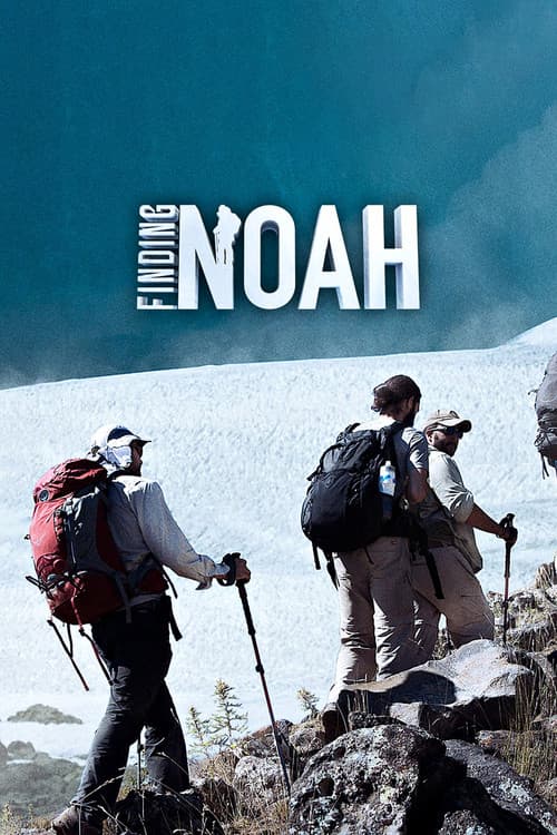 Poster for Finding Noah